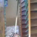 Débarras et Assurance Professionnelle