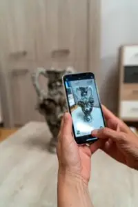 Prix Débarras Villefranche 69 Rhone Lyon