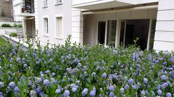 Débarras Grand Appartement Moderne 230m2