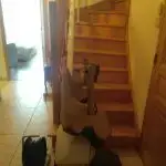 Débarras Cave Box Combles